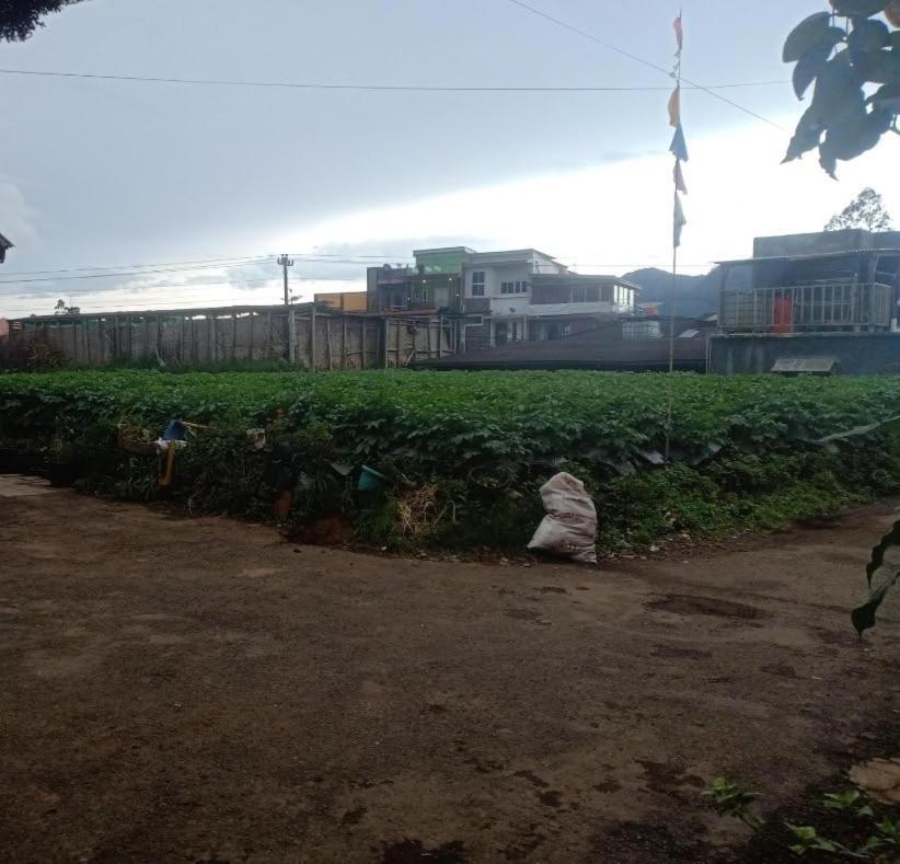 Anemon Dieng Exterior photo